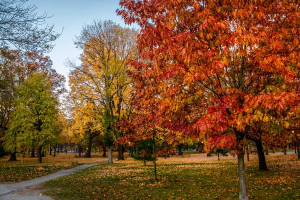 Jesienią Kolorowe Roślinność Queens Park Toronto Ontario — Zdjęcie stockowe