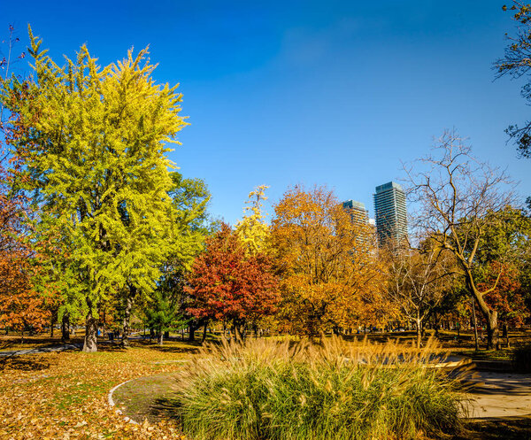 Autumn colorful vegetation of Queens Park - Toronto, Ontario, Ca