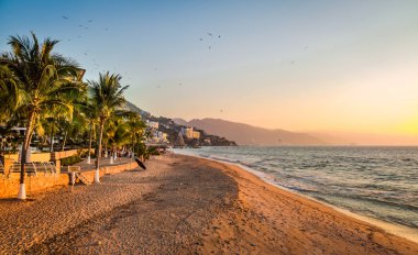 Puerto Vallarta günbatımı ve avuç içi - Puerto Vallarta, Jalisco, Mex
