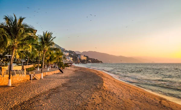 Puerto Vallarta Sonnenuntergang Und Palmen Puerto Vallarta Jalisco Mex — Stockfoto