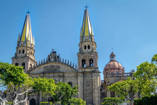 Guadalajara Katedrali Guadalajara Jalisco Meksika — Stok fotoğraf