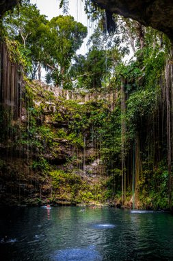 Hipotermik ık kıl - Yucatan, Meksika