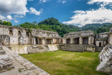 Palenque - Chiapas, Meksika Maya harabelerini sarayda