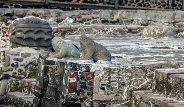 Frogs Serpent Head Sculptures Aztec Temple Templo Mayor Ruins Tenochtitlan — Stockfoto