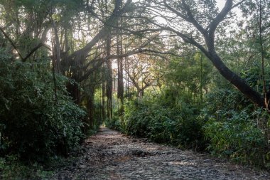 Harbour eski yolun Vila dos Remedios - Fernando de Noronha, Pernambuco, Brezilya için