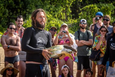 Fernando De Noronha - 4 Ekim 2017: Deniz kaplumbağaları bilimsel yakalamak, ölçüm ve do Boldro Beach - Fernando de Noronha, Pernambuco, Brezilya için veri toplama Tamar Projesi'nde Praia (Projeto Tamar) tarafından