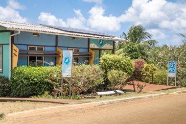 Fernando de Noronha - 8 Ekim 2017: Golfinho Rotador (Spinner Dolphin) Boldro Village Proje Merkezi - Fernando de Noronha, Pernambuco, Brezilya