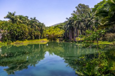 Inhotim Halk Çağdaş Sanat Müzesi - Brumadinho, Minas Gerais, Brezilya