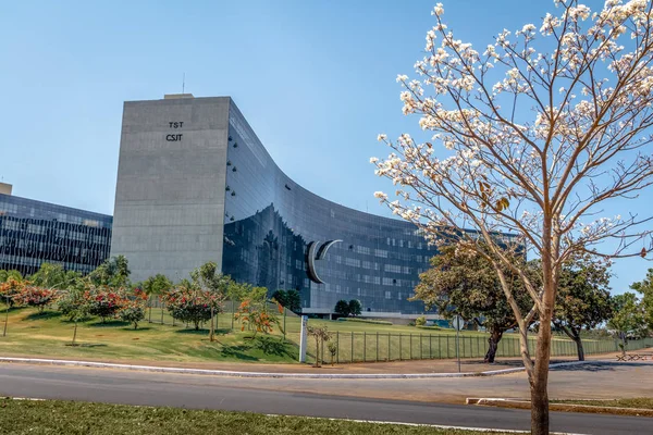 Brasilia Brazil Aug 2018 Superior Labour Court Tribunal Superior Trabalho — 스톡 사진