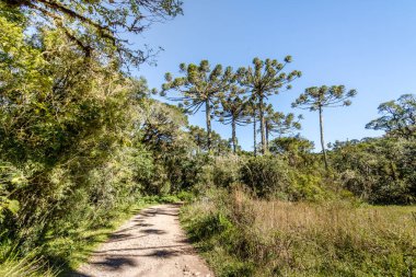 Hiking Trail Itaimbezinho Kanyon, Aparados da Serra Milli Parkı - Cambara do Sul, Rio Grande yapmak Sul, Brezilya