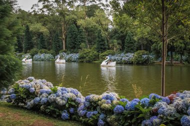 Lago Negro (Kara Göl) Kuğu Pedal tekneler - Gramado, Rio Grande ile yapmak Sul, Brezilya