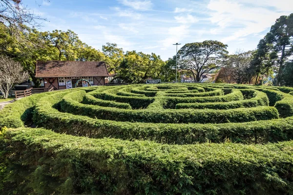 Green Labyrinth Hedge Maze Labirinto Verde Main Square Nova Petropolis — Zdjęcie stockowe