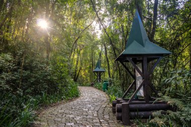 Hensel ve Gretel Trail (Trilha Joao e Maria) Bosque Alemao (Alman Orman Parkı) - Curitiba, Parana, Brezilya