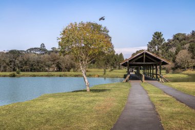 Tingui Parkı - Curitiba, Parana, Brezilya