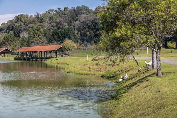Tingui Parkı - Curitiba, Parana, Brezilya