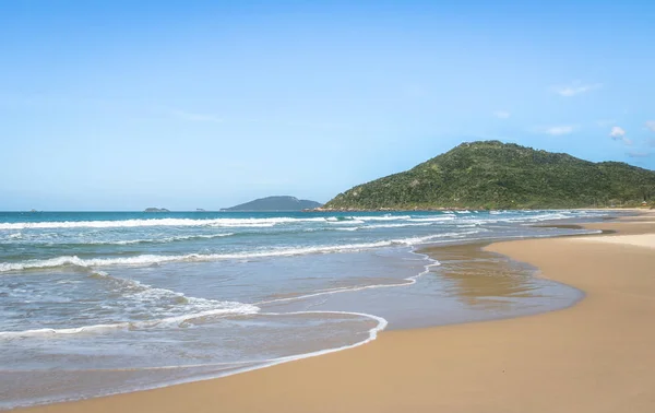 Brava Beach Florianopolis Santa Catarina Brazil — Stockfoto