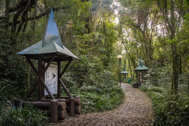 Curitiba, Brezilya - 24 Ağustos 2017: Bosque Alemao'dan Hensel ve Gretel Trail (Trilha Joao e Maria) - Curitiba, Parana, Brezilya