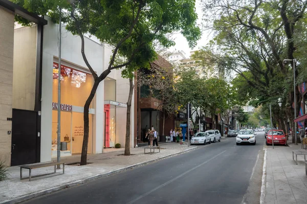 Sao Paulo Brasil Septiembre 2017 Oscar Freire Una Calle Comercial —  Fotos de Stock