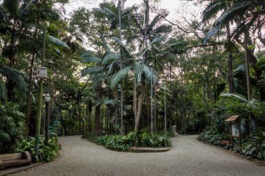 Trianon Park Paulista Avenue - Sao Paulo, Brezilya