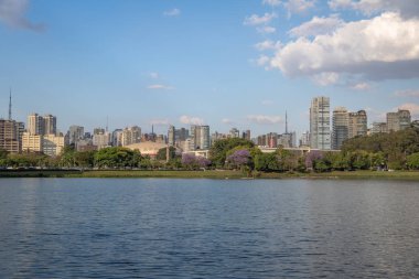 Ibirapuera Parkı göl ve şehir manzarası - Sao Paulo, Brezilya