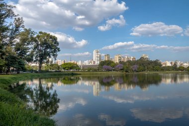 Ibirapuera Parkı göl ve şehir manzarası - Sao Paulo, Brezilya