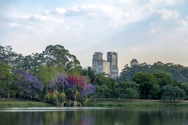 Lake Park Ibirapuera Sao Paulo Brazylia — Zdjęcie stockowe
