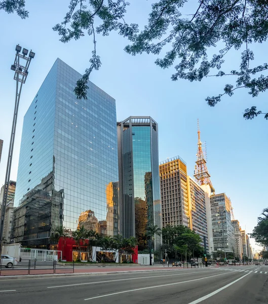 Paulista Avenue Sao Paulo Brazília — Stock Fotó