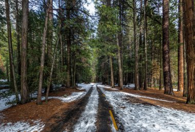 Yol karla kaplı kış - Yosemite Ulusal Parl, California, ABD