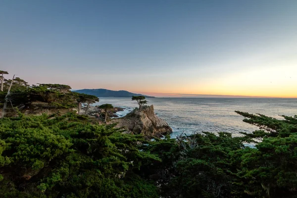 Einsamer Zypressenbaum Bei Sonnenuntergang Entlang Der Berühmten Meile Fahrt Monterey — Stockfoto