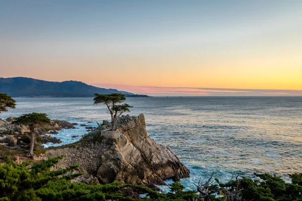 Einsamer Zypressenbaum Bei Sonnenuntergang Entlang Der Berühmten Meile Fahrt Monterey — Stockfoto