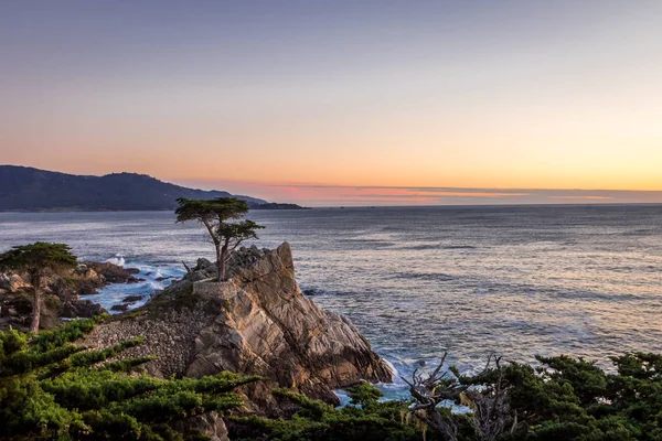 Lone Cypress Vista Árvore Pôr Sol Longo Famosa Mile Drive — Fotografia de Stock