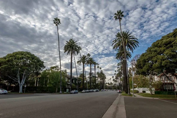 Rua Com Palmeiras Beverly Hills Los Angeles Califórnia Eua — Fotografia de Stock