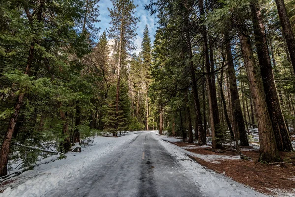 Silnici Pokryté Sněhem Zimě Yosemite Národní Parl Kalifornie Usa — Stock fotografie