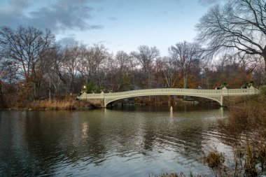 Yay köprü Central Park'ta - New York, ABD