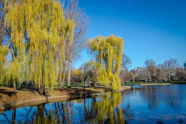 波士顿公共花园 波士顿 马萨诸塞州 — 图库照片