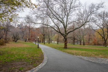 Central Park geçit sırasında geç sonbaharda - New York, ABD