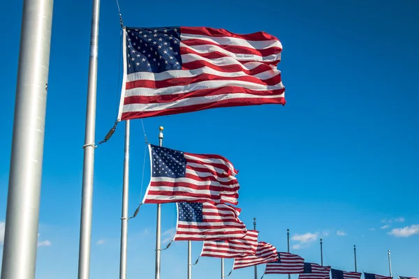 Many American Flags Waving at Washington Monument - Washington,