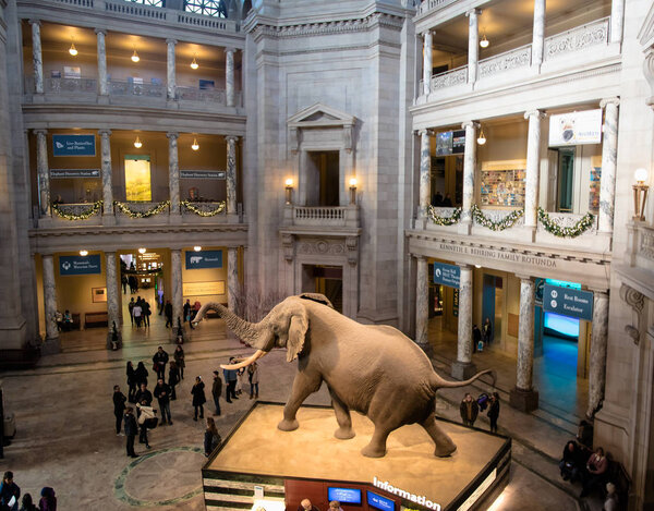 ВАШИНГТОН, ОКРУГ КОЛУМБИЯ, США - 14 декабря 2016 года: Interior of The Natio
