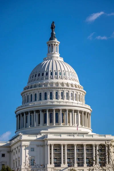 Domo Del Capitolio Los Estados Unidos Washington —  Fotos de Stock