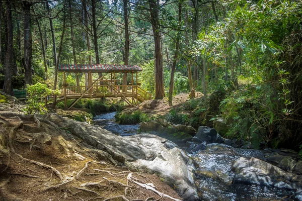 Kleine Bunte Überdachte Holzbrücke Parque Arvi Medellin — Stockfoto
