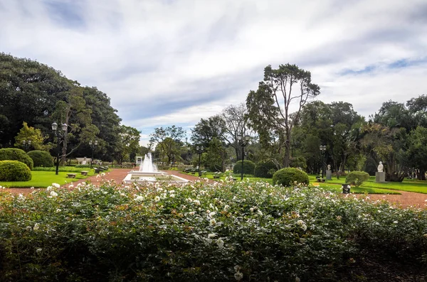 Rosedal Rose Park Bosques Palermo Palermo Woods Buenos Aires Argentina — Stock Photo, Image