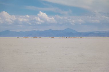Salinas Grandes Salt Flats - Jujuy, Arjantin