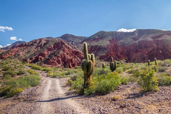 Quebrada Senorita Desertic Valley Uquia Village Quebrada Humahuaca Uquia Jujuy — Stockfoto