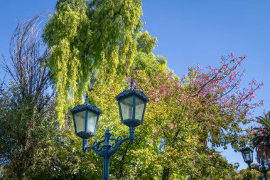 Plaza Independencia (Bağımsızlık Meydanı) - Mendoza, Arjantin