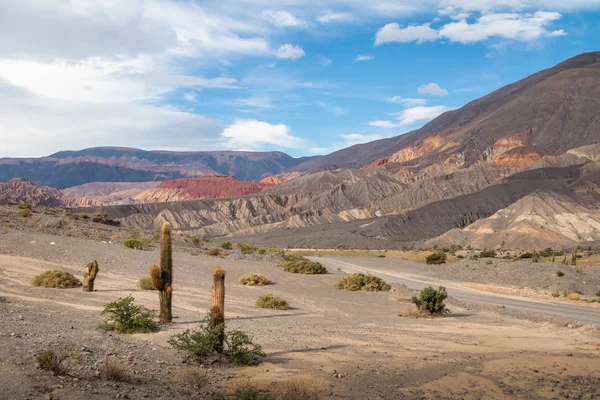 Cardones Kaktus Und Quebrada Del Toro Berge Nördlichen Salta Puna — Stockfoto