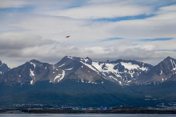 Птицы Chilean Skua Пролетают Над Горами Проливе Бигл — стоковое фото