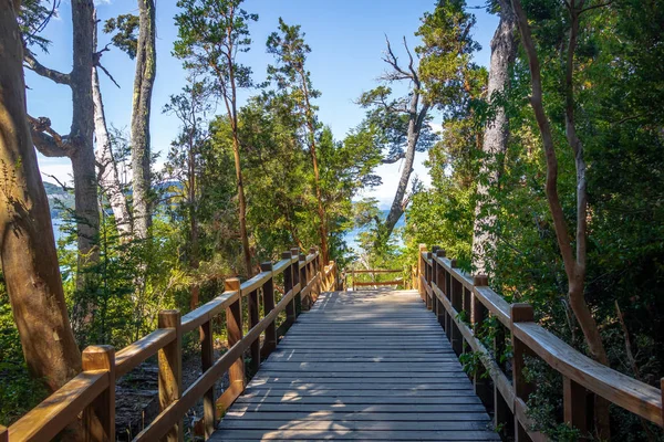 Sahil yolu, Arrayanes Milli Parkı - Villa La Angostura, Patagonia, Arjantin