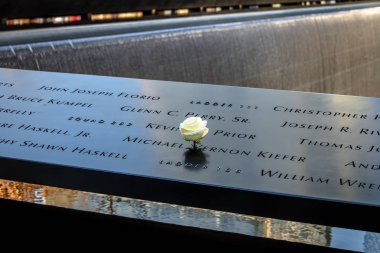 New York, ABD - 04 Aralık 2016: Doğum günü beyaz gül sol nea