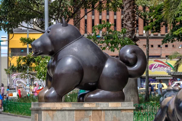 Medellin Colombia Jul 2016 Honden Statuut Het Botero Plein Medellin — Stockfoto