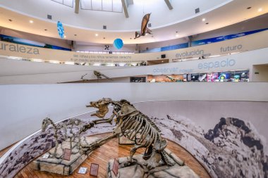 Cordoba, Arjantin - 2 Mayıs 2018: Doğal Bilimler Müzesi (Museo Provincial de Ciencias Naturales) İçişleri - Cordoba, Arjantin